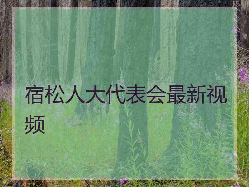 宿松人大代表会最新视频