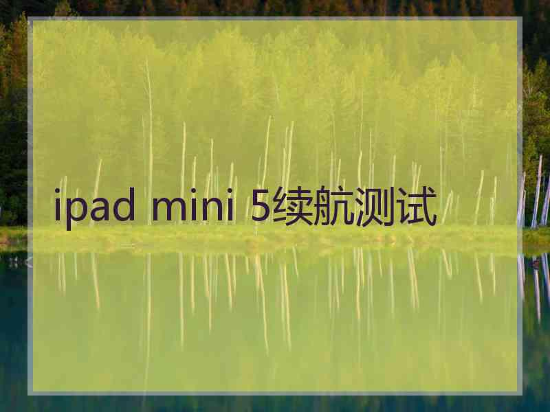 ipad mini 5续航测试