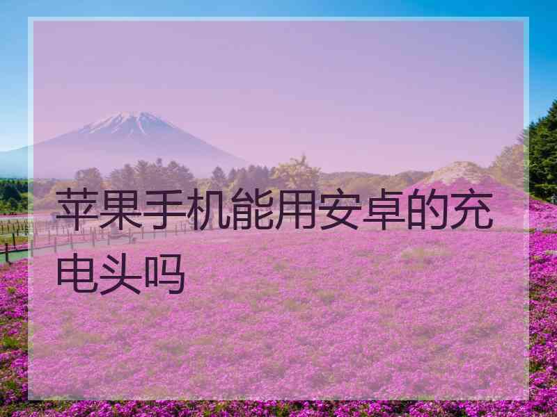 苹果手机能用安卓的充电头吗