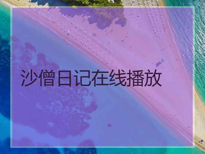 沙僧日记在线播放