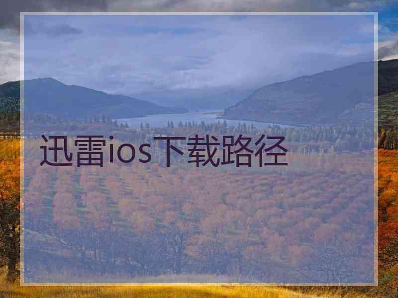 迅雷ios下载路径