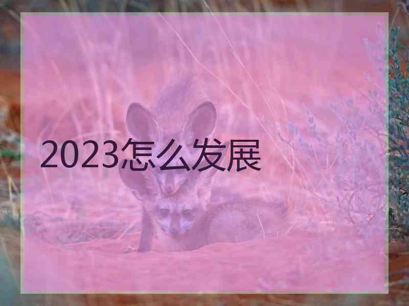 2023怎么发展