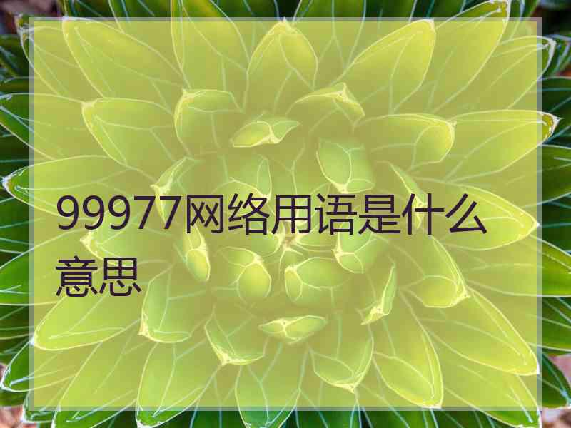 99977网络用语是什么意思