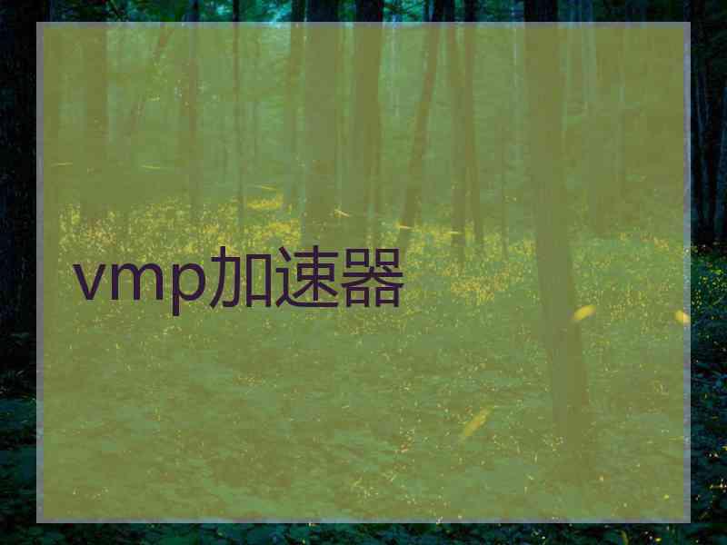 vmp加速器