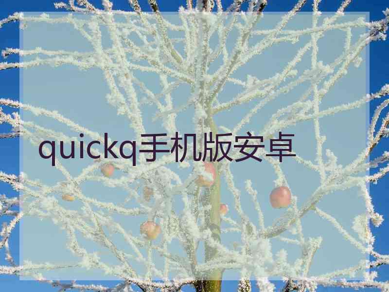 quickq手机版安卓