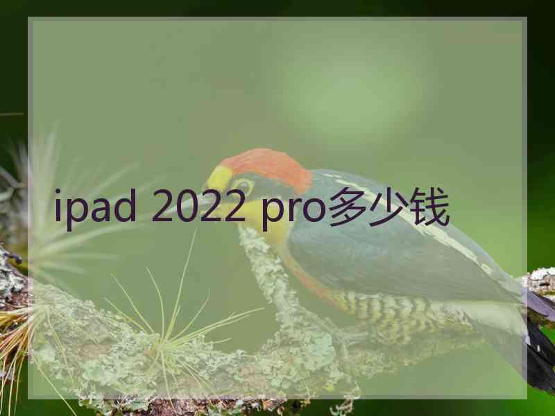 ipad 2022 pro多少钱