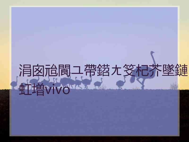 涓囪兘閬ユ帶鍣ㄤ笅杞芥墜鏈虹増vivo