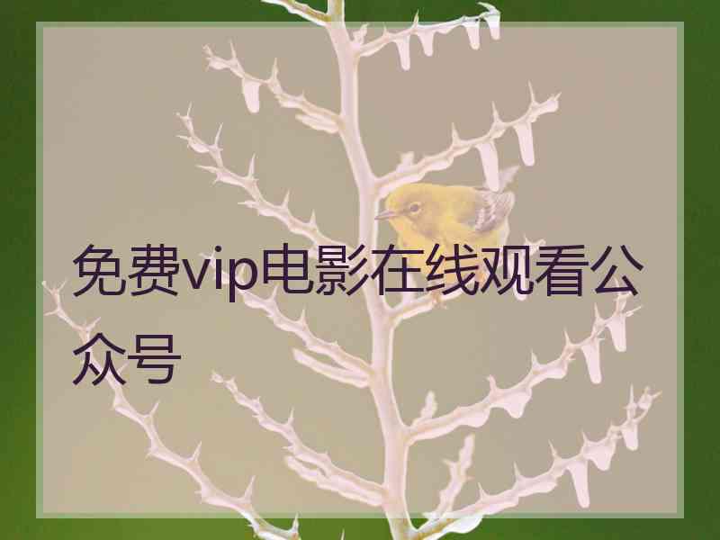 免费vip电影在线观看公众号