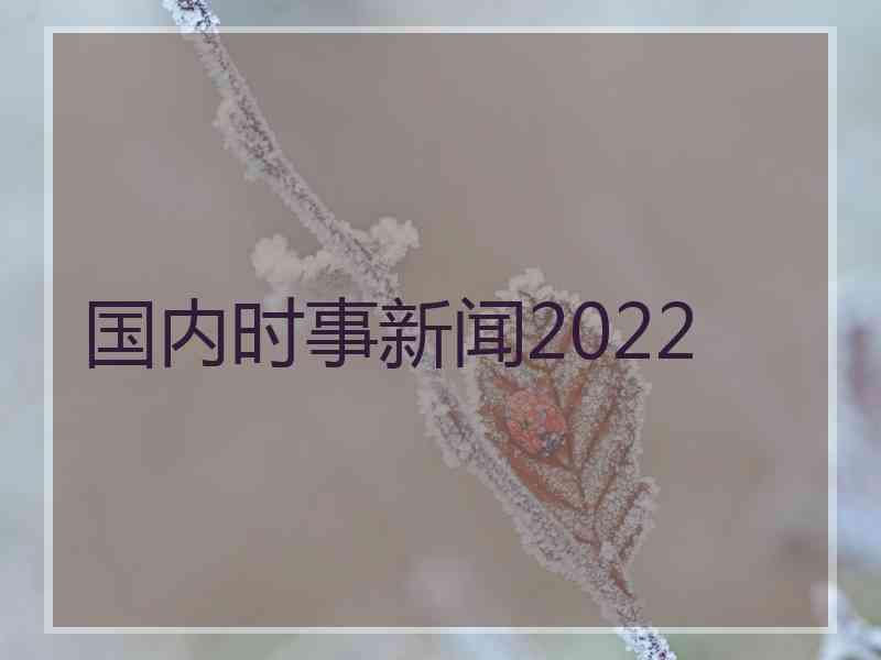 国内时事新闻2022