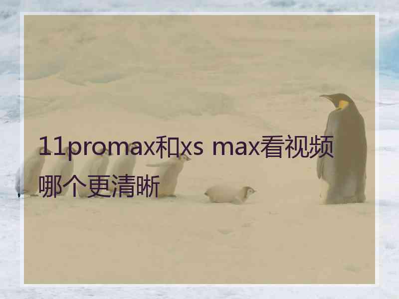 11promax和xs max看视频哪个更清晰