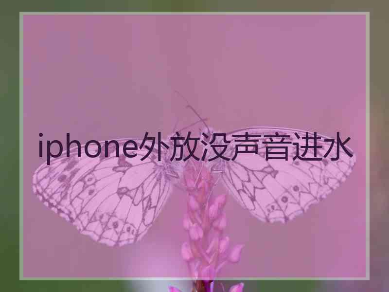 iphone外放没声音进水