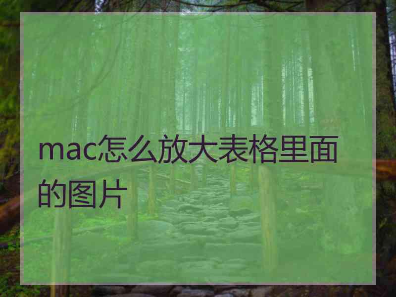 mac怎么放大表格里面的图片