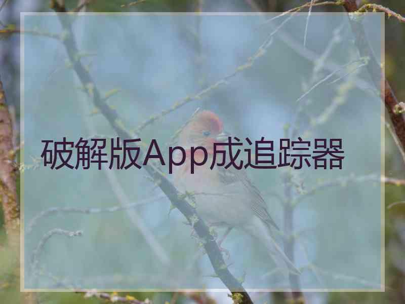 破解版App成追踪器