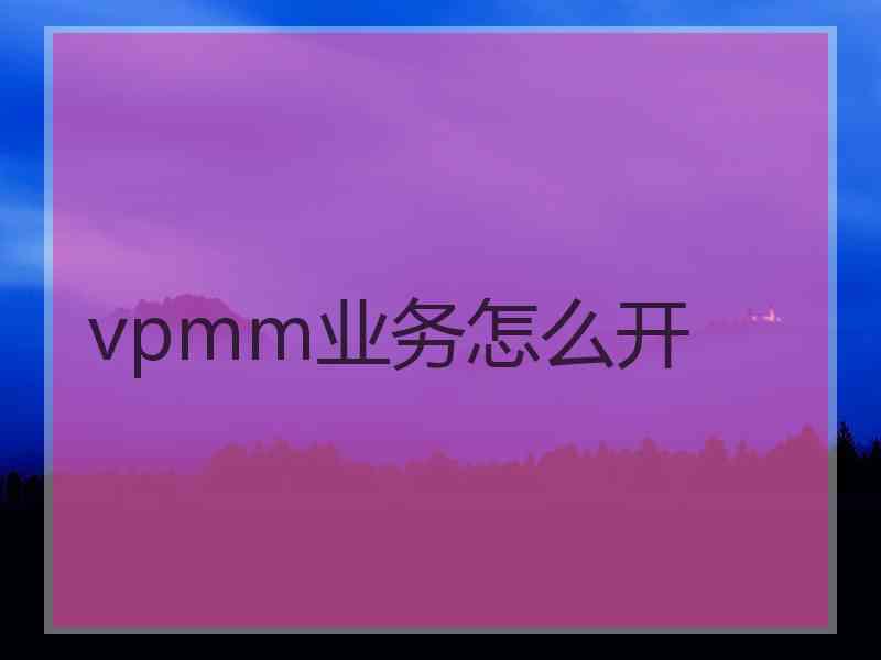 vpmm业务怎么开