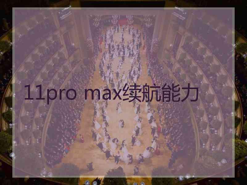 11pro max续航能力