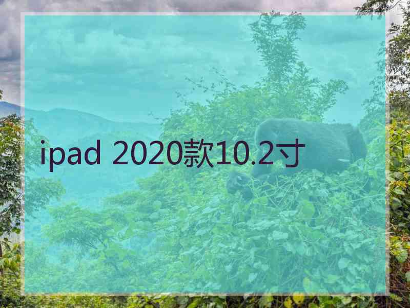 ipad 2020款10.2寸