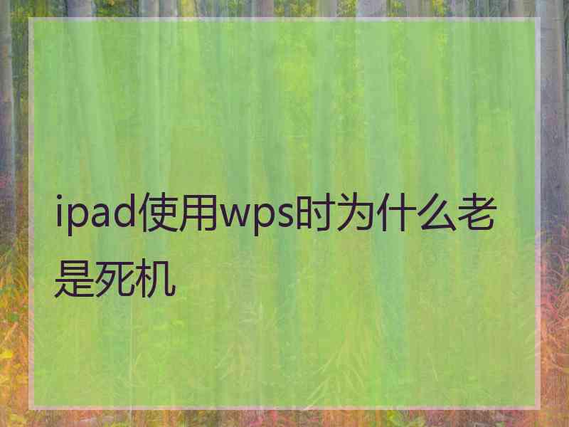 ipad使用wps时为什么老是死机