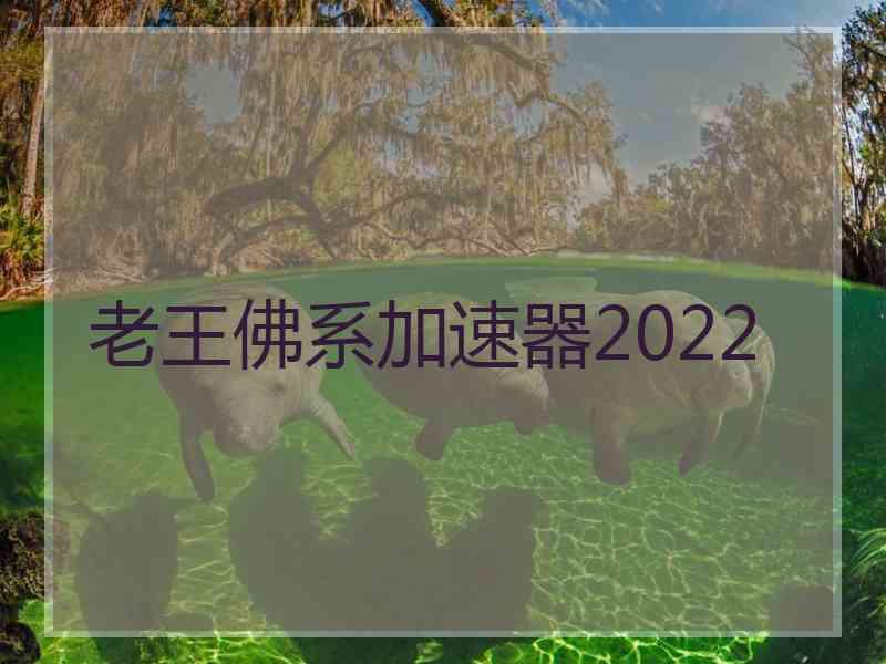 老王佛系加速器2022