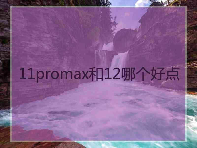 11promax和12哪个好点