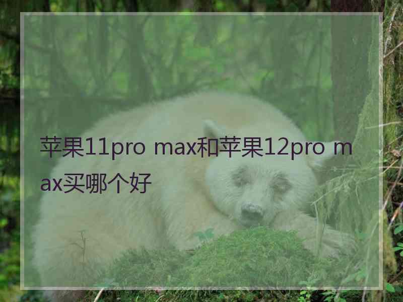 苹果11pro max和苹果12pro max买哪个好