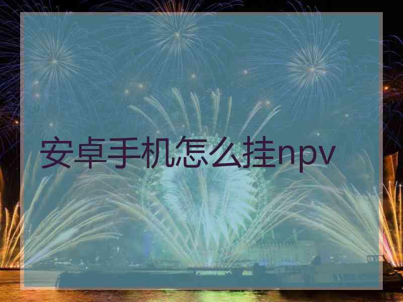 安卓手机怎么挂npv