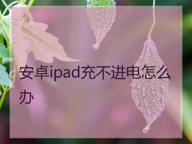 安卓ipad充不进电怎么办