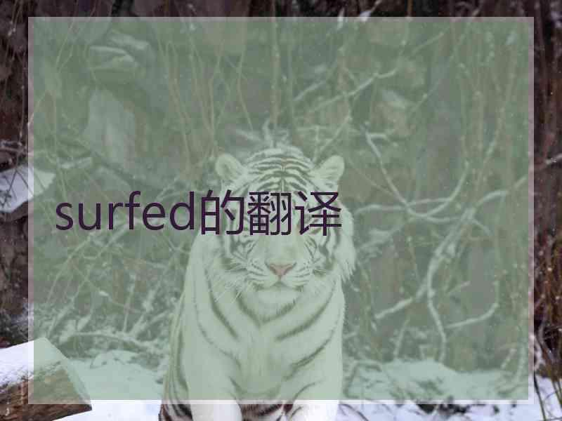 surfed的翻译