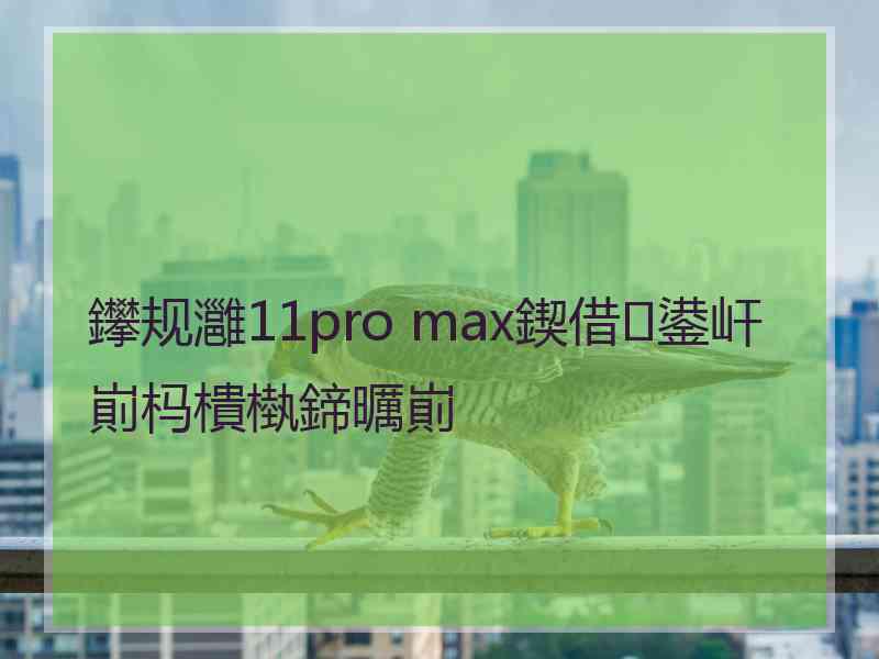 鑻规灉11pro max鍥借鍙屽崱杩樻槸鍗曞崱