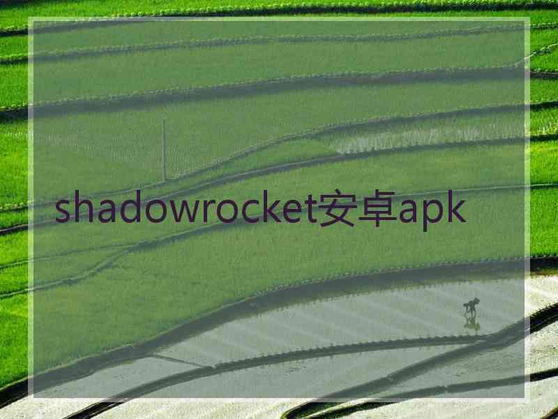 shadowrocket安卓apk