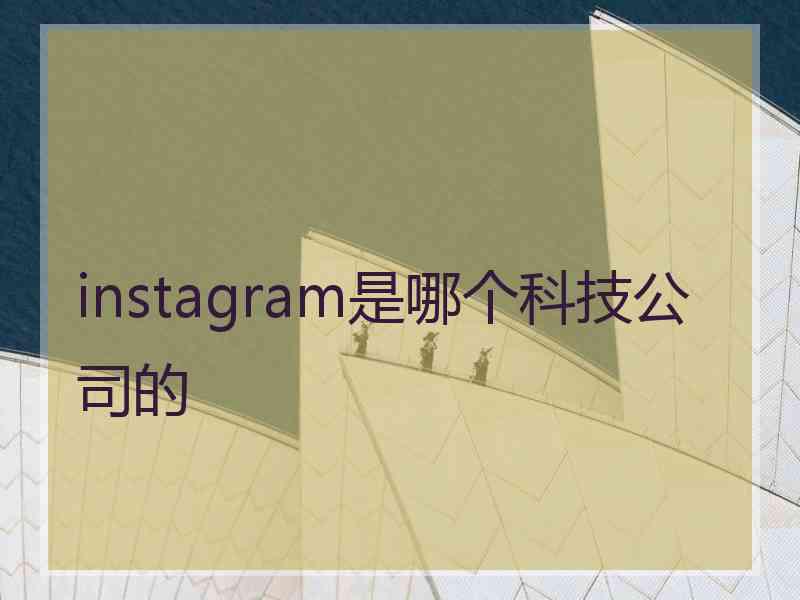 instagram是哪个科技公司的