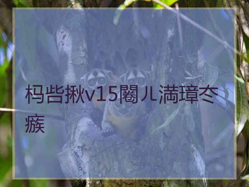 杩呰揪v15闂ㄦ満璋冭瘯