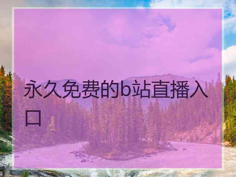 永久免费的b站直播入口