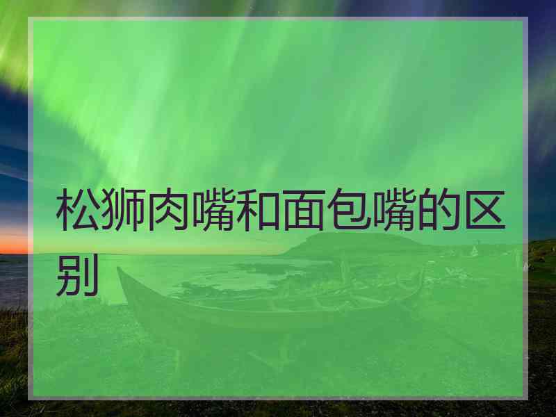 松狮肉嘴和面包嘴的区别