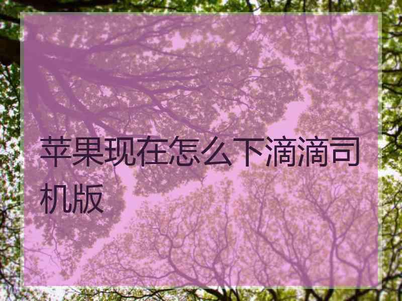 苹果现在怎么下滴滴司机版