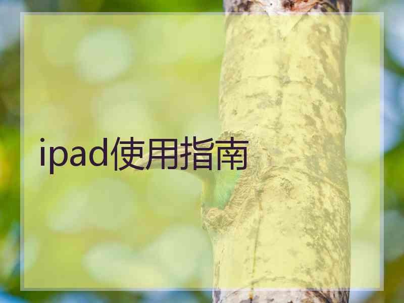 ipad使用指南