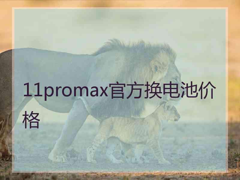 11promax官方换电池价格