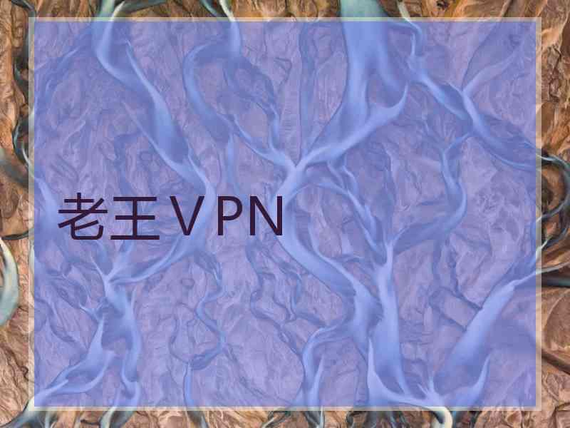 老王ⅤPN