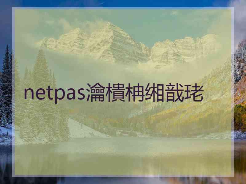 netpas瀹樻柟缃戠珯