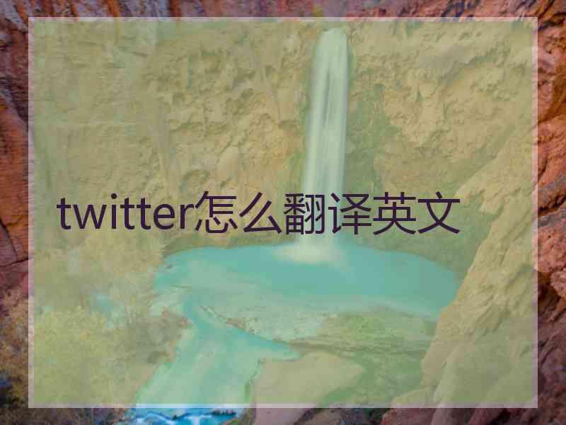 twitter怎么翻译英文