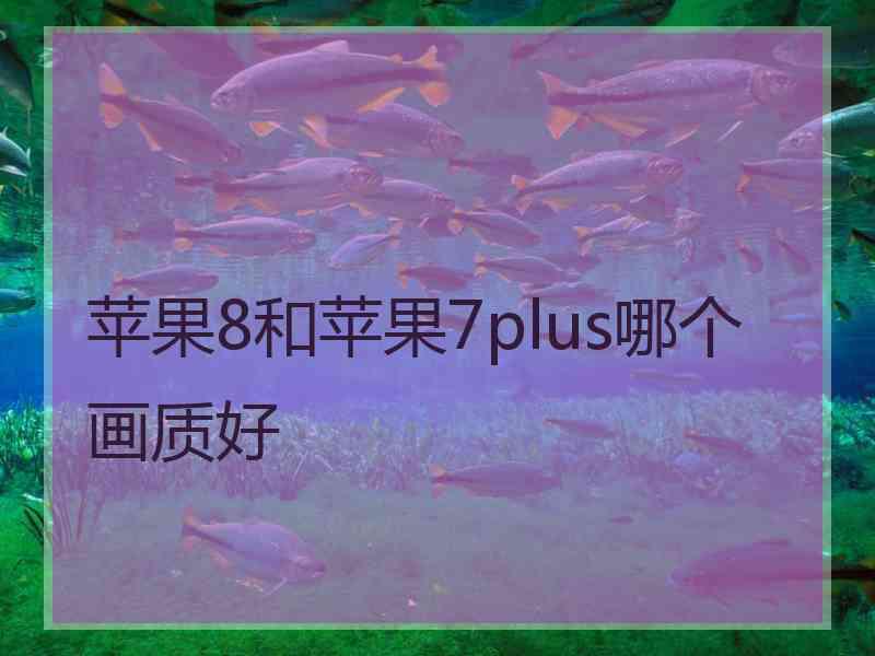 苹果8和苹果7plus哪个画质好