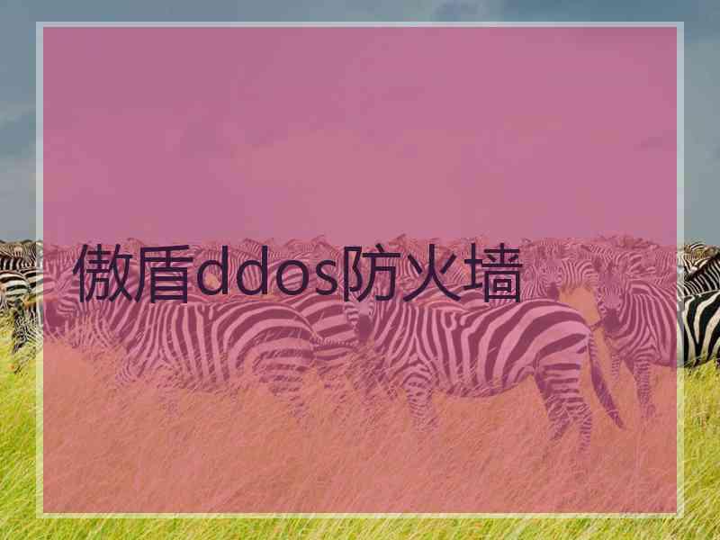 傲盾ddos防火墙