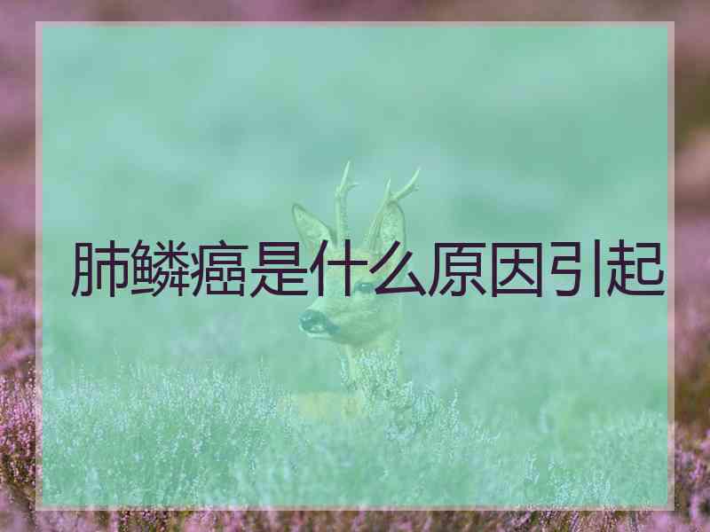 肺鳞癌是什么原因引起