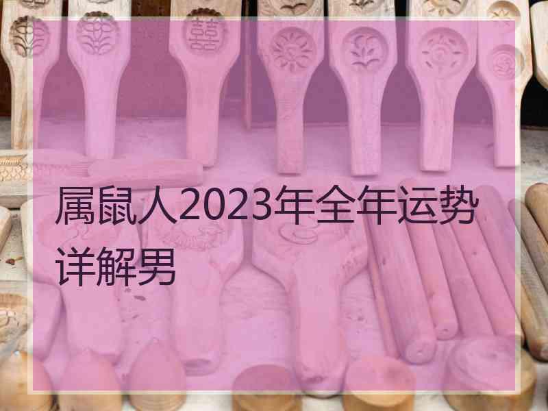 属鼠人2023年全年运势详解男