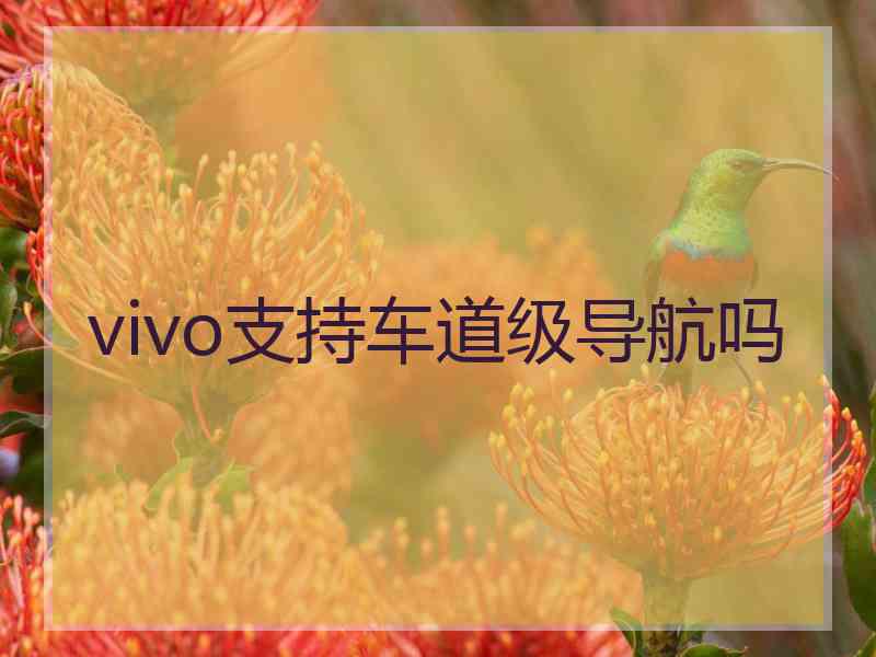 vivo支持车道级导航吗