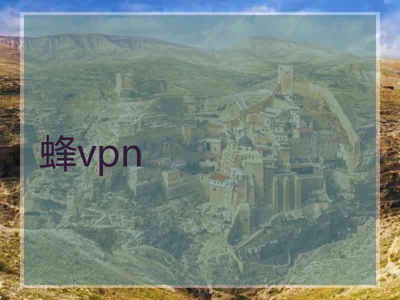 蜂vpn