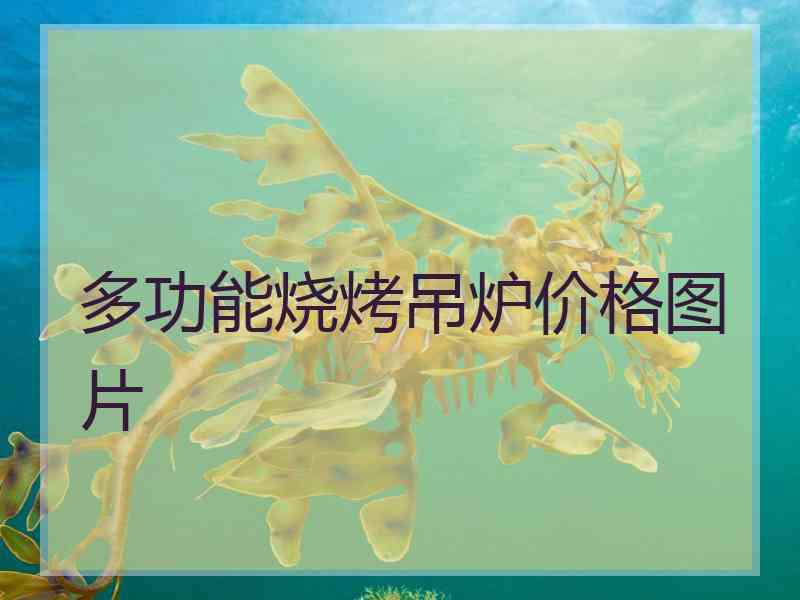 多功能烧烤吊炉价格图片