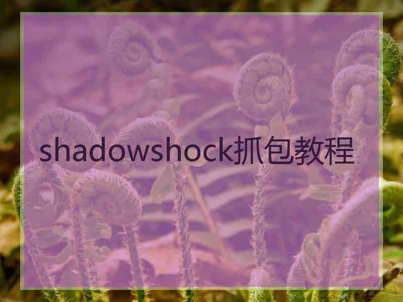 shadowshock抓包教程