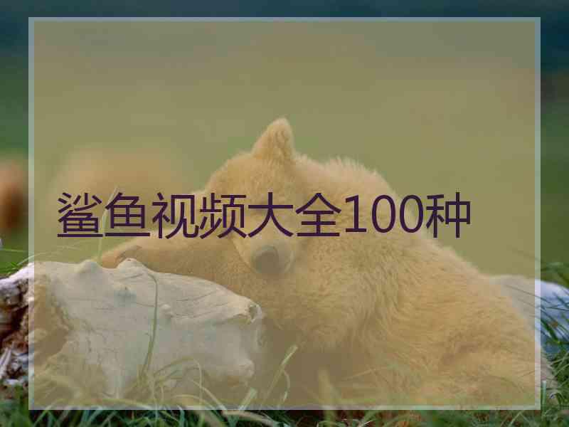 鲨鱼视频大全100种