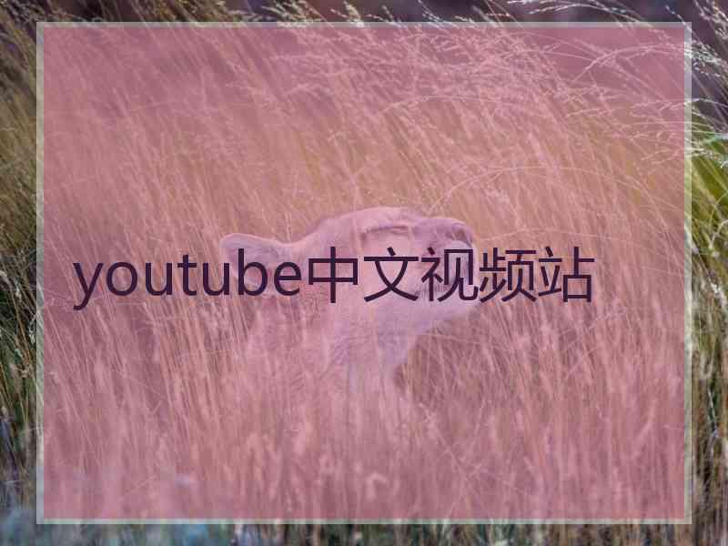 youtube中文视频站