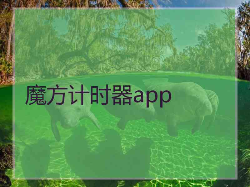 魔方计时器app